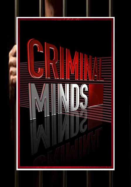 Criminal Minds - Seasons 1-14